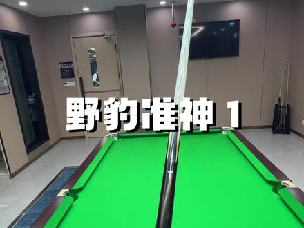 用野豹准1就不用管母球位置了 准就对了#台球 #野豹准1