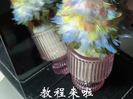 宝宝们教程我拍好啦~#鹦鹉 #手养鸟日常 #养鸟的乐趣 #手工 #爱鸟护鸟 (用的是鸟宝们自然掉下来的毛毛)