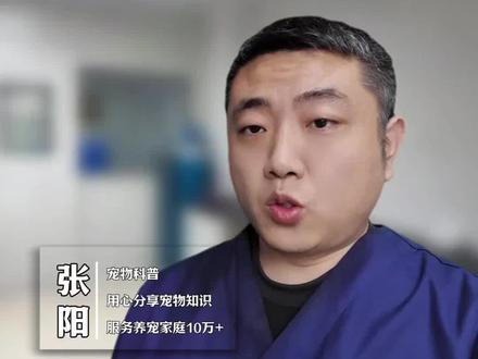 狗狗有了皮肤问题怎么办?学会之后自己解决 #狗 #养狗人 #新手养狗 #新手养狗攻略 #狗皮肤病