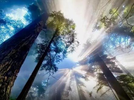 刑警只是看了一眼打字的动作就发现了警局的卧底 #悬疑 #宅家dou剧场 #卧底#刑警 #惊讶