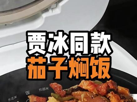 贾冰同款茄子焖饭 #茄子焖饭 #贾冰 #真实生活分享计划 #美食vlog #美食
@贾冰 吃饭方面必须信冰哥