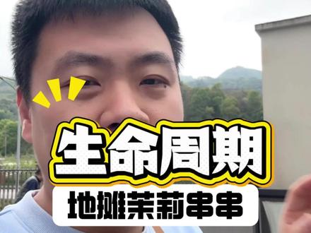 行业内不敢讲的真话:爆火的五毛茉莉串串能火多久?小白能入局吗 #路边串串 #五毛串串 #茉莉茶香火锅 #茉莉串串火锅 #餐饮项目 茉莉茶香火锅底料 张小韵 管乐guan'le 茉莉茶香牛油串串火锅底料源头工厂 五毛地摊串串 青柑茶香 茉莉番茄底料 清油火锅 藤椒火锅 椒麻火锅 酸辣金汤火锅底料供应链 关注小考学长 分享更多餐饮知识