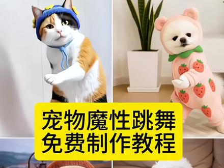 猫猫跳舞ai制作教程来了! #猫猫跳舞 #可灵一键同款 #可灵#橘猫跳舞的视频怎么做