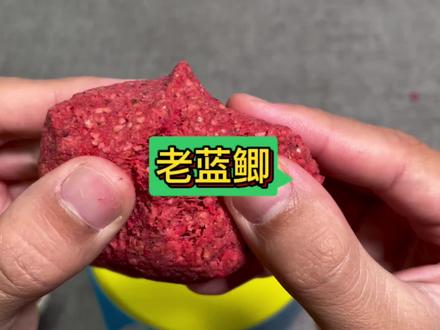 老蓝鲫这样搭配,水下状态简直了#爆护饵料 #蓝鲫 #饵料搭配 #鱼饵推荐 #饵料窝料