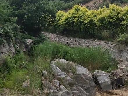 一场暴雨打破了小山村的″宁静"🙏🏻🙏🏻🙏🏻