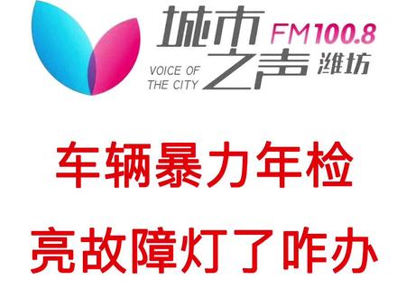 车辆暴力年检亮故障灯怎么办#汽车 #二手车