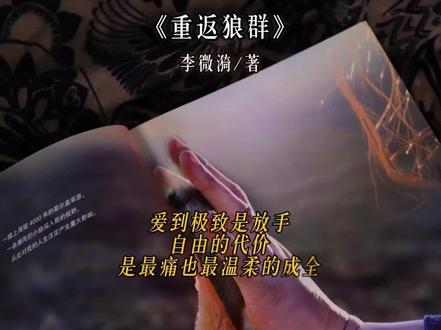 第二十七集:一只狼,一个人,一片草原,书写了人类与自然最动人的史诗。#好书分享 #重返狼群 #情感共鸣 #读书成长 #读书笔记