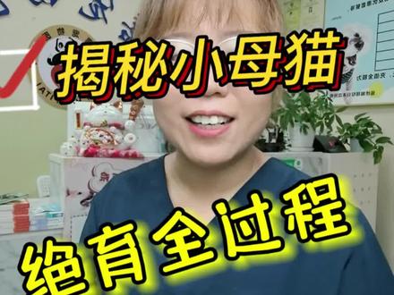 揭秘小母猫,绝育全过程。