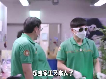 姜爷爷现在责任不只是福宝一家,现在还管着爱宝乐园里的其它动物