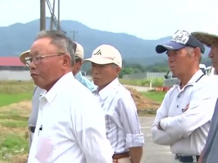 日本公司有何居心?在山东租下1500亩农田,却闲置五年成不见动静#科普 #日本 #农业 #探秘