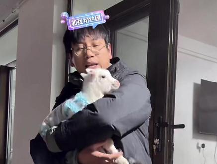 #骏良 #赫尔忒 小羊一出场,吸引了好多大狗的注意哈哈