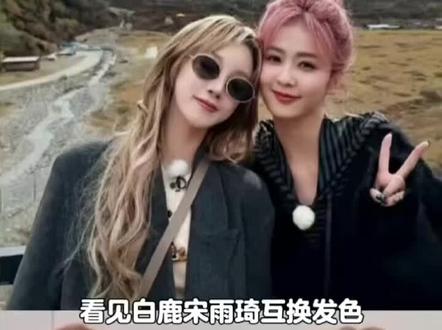 白鹿宋雨琦互换发色#美爆了 #女明星