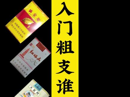 入门粗支谁更权威! #抖音商城