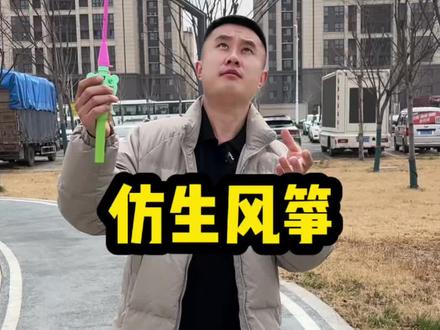 这个燕子仿生风筝真这么逼真吗?#风筝 #仿生风筝 #潍坊风筝 #春天就是放风筝