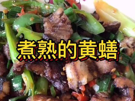 煮熟透的黄蟮放大、黄蟮一定要煮熟透后才食用#黄蟮