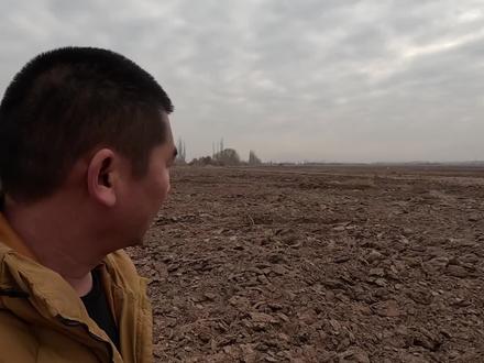 明年四个人合伙种植7000亩地,希望大家都能挣钱