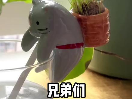 跨境选品 爆款预测!#跨境电商 #跨境电商选品#嘀嗒狗#tiktok嘀嗒狗选品#tiktok #干货分享 #亚马逊选品 #运营干货