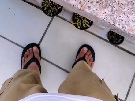 九尾狐繁殖,爆头方法。#九尾狐多肉 #仙人掌 #多肉@抖音小助手