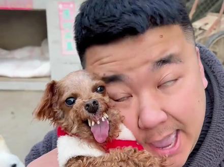 网络人物志第18期摸摸哥 #人物志 #摸摸哥 #狗