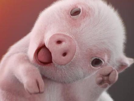 比扭腰本猪没有输过谁!#come的喂 #魔性舞蹈 #充能计划 #轻漫计划