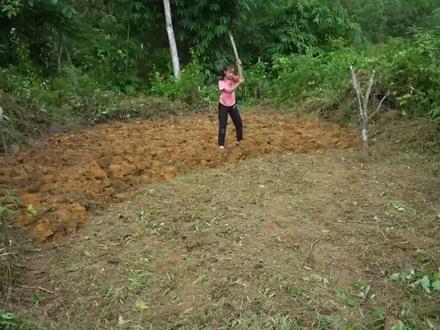 10岁女孩在大山里开垦荒地,种植野生红薯,打造田园生活#野外建造 #田园生活