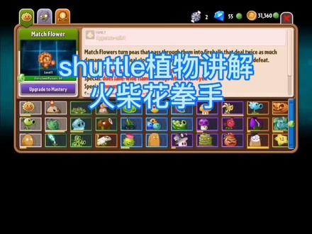 #植物大战僵尸shuttle版 植物讲解,火柴花拳手