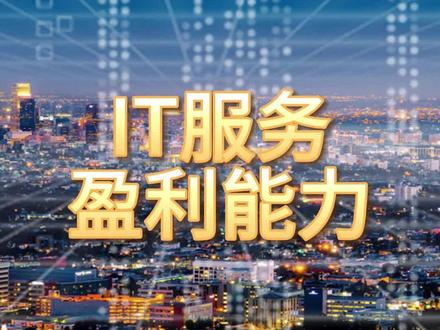 IT服务,盈利最强的10家企业#IT服务 #盈利能力