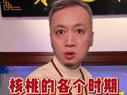 核桃的各个时期应该用什么刷子 #文玩刷子 #核桃刷子 #核桃打底刷子 #铁矿陨石刷 #文玩鬃毛刷