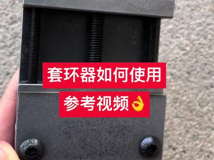 给大鸽子套足环,如何使用套环器#鸽子