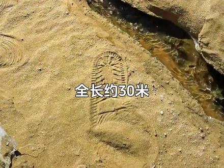 小到离谱!这些世界之最你见过吗 #科普 #涨知识 #离谱 #世界之最 #不可思议