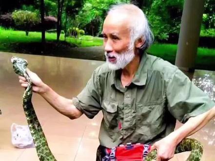 相信很多人像我一样还不知道被蛇咬后正确的处理方法。感谢蛇博士陈远辉老先生的分享!