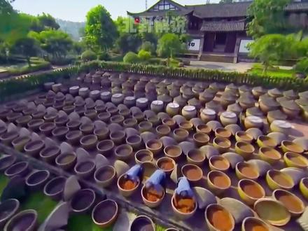 酱油从来没有生抽老抽之分,古法酱油酿造,千斤黄豆才得百斤酱油 #酱油 #制作过程 #非遗传承 #匠心制作