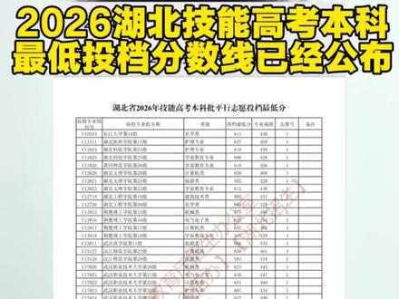 2026年技能高考,本科批次投档分数已经公布!现在就可以查询自己的录取状态了!#技能高考 #技能高考湖北 #技能高考复读 #技能高考培训 #录取通知书