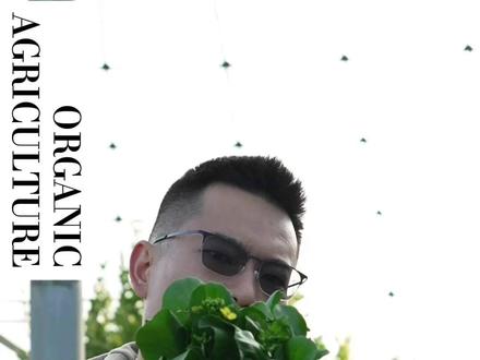 老妈说开花蔬菜就不能吃了是真的吗 蔬菜开一两朵花是没关系的,相反是它最营养的时候。只是运输这样的蔬菜很困难,所以市场上比较少。#有机种植 #云南高原蔬菜 #蔬菜开花