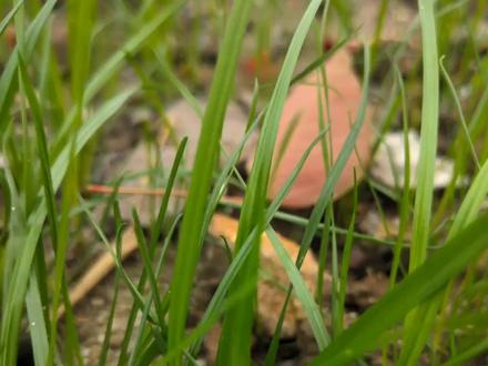 谷歌相机 f4eb4c355aab5d29a6cf9c36b0fe5b5b~tplv-dy-resize-origshort-autoq-75:330.jpeg?x-expires=2022152400&x-signature=mk6x8mUTInigPhRaDMQqeKhtIG0%3D&from=3213915784&s=PackSourceEnum_AWEME_DETAIL&se=false&sc=cover&biz_tag=pcweb_cover&l=202402012158085CF8C87EB938621C84A0
