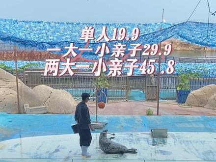 快来东炮台海豹湾看表演吧#我的探店日记 #优惠活动火爆进行中 #亲子游玩好去处 #蓬莱海洋极地世界 #抖音团购优惠
