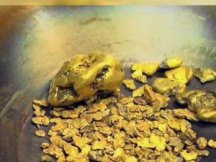 每天一个淘金地,陕西月河砂金矿。#淘金 #真实户外