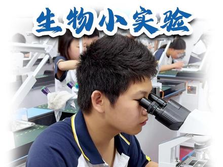 #生物实验 制作并观察植物细胞临时装片!