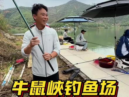 每天断几只竿不算过分吗 #牛鼠峡钓鱼场 #断竿 #休闲垂钓娱乐的好地方