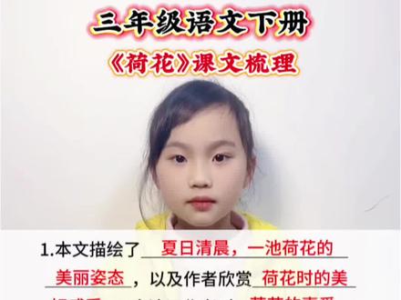 三年级语文下册 第一单元第三课《荷花》课文梳理#小学语文 #语文知识点 #语文知识分享 #知识点总结