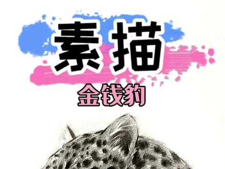 画一个金钱豹素描教程🐆#素描 #一学就会系列 #零基础教学 #跟着抖音学画画 #素描怎么画动物
