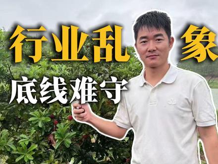 同是农产品,人心才是最大隐患 #杨梅 #食品安全 #消费者