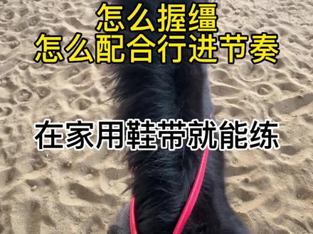 在家用鞋带也能练的控缰节奏#野骑野外骑马怎么在家练 #爱马 #骑马 #野骑 #马场日常