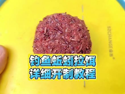 蚯蚓钓鱼你真的会用吗?手把手教你开蚯蚓拉饵,大板鲫一钓一个不吱声!#钓鱼 #钓鱼技巧 #饵料窝料 #钓鱼知识 #原来钓鱼才是抖音运动顶流