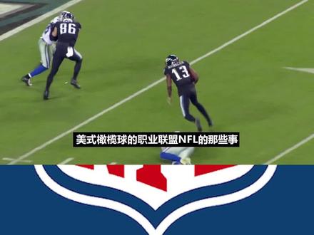【北美体圈儿课堂】看懂美式橄榄球你需要知道的这些事 NFL联盟3/3 #NFL #美式橄榄球 #超级碗