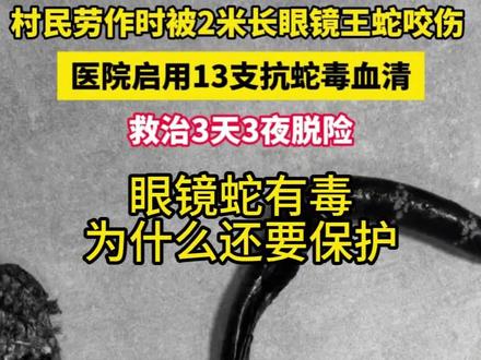 眼镜蛇有毒为什么还要保护 #户外 #眼镜蛇 #野生动物零距离 #保护动物 #热点