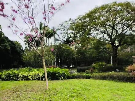 挂件教程来也!!大家可以尽情夸我啦哈哈哈哈哈【再次强调:本次教程仅供娱乐 如有疑问进群与我商讨:-)#cortis #cortis马丁 #Martin #martin马丁 #手工diy