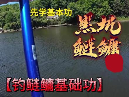 新手钓鲢鳙需要注意的几个点