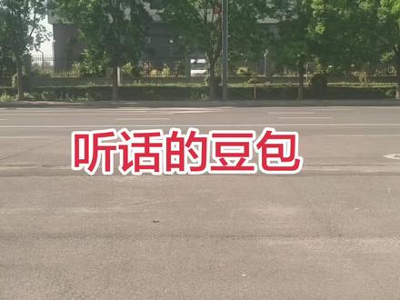 这次豆包真听话#日本#东京审判#