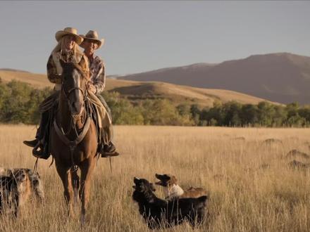 法国纪录片:woman 女人 给爱情在心里留块地